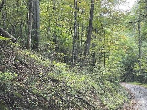 000 Sandman Way, Mars Hill, NC 28754
