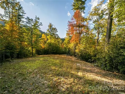 Peppervine Circle, Rosman, NC 28772