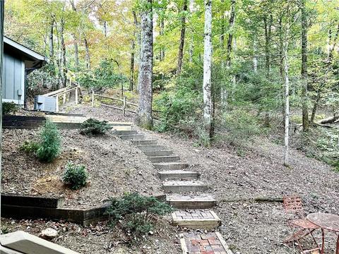 205 Catatoga Path, Brevard, NC 28712 photo 43