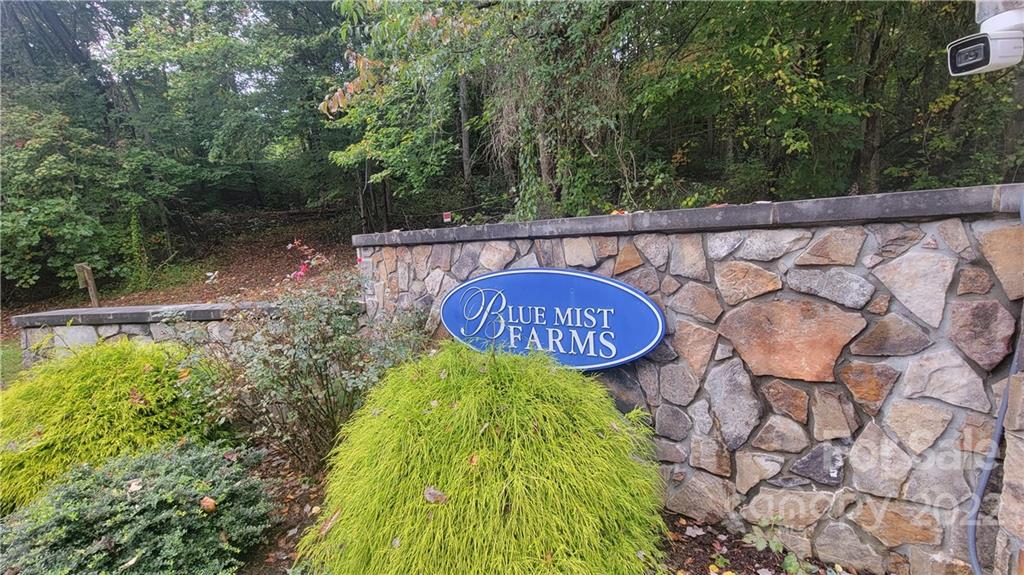 21 Early Spring 54 Way Unit 54