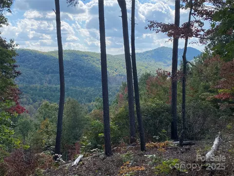 61 Scenic Vista 238 Dr #238, Nebo, NC 28761