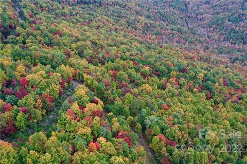 149 Buck Mountain Rd #149, Purlear, NC 28665 photo 2