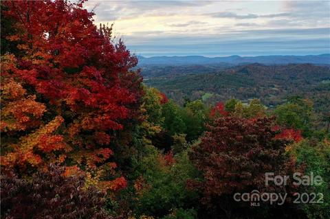 149 Buck Mountain Rd #149, Purlear, NC 28665