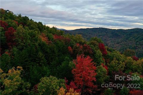 149 Buck Mountain Rd #149, Purlear, NC 28665 photo 6