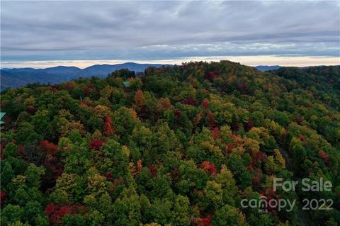 149 Buck Mountain Rd #149, Purlear, NC 28665 photo 7