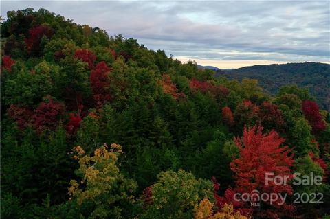 149 Buck Mountain Rd #149, Purlear, NC 28665 photo 5