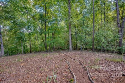 246 Blackbird Ln, Tryon, NC 28782 photo 43