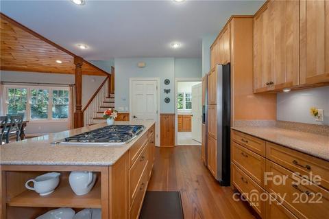 246 Blackbird Ln, Tryon, NC 28782 photo 19