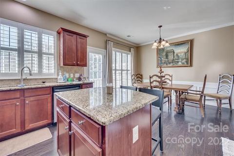1112 Drayton Ct, Fort Mill, SC 29708 photo 16