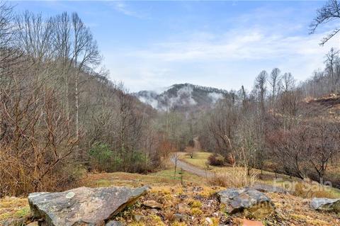 305 Charisma Dr, Marshall, NC 28753 photo 8