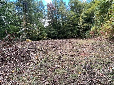 283 Rippling Brook Rd, Sylva, NC 28779 photo 3