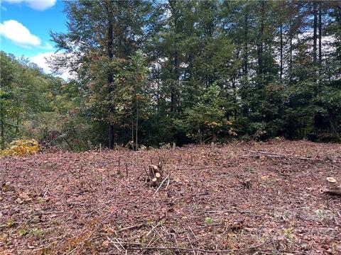 283 Rippling Brook Rd, Sylva, NC 28779 photo 6