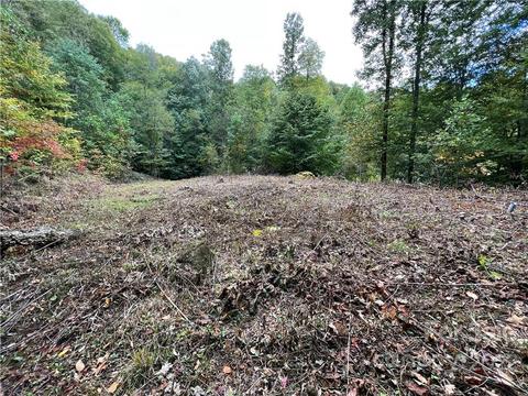 283 Rippling Brook Rd, Sylva, NC 28779 photo 4