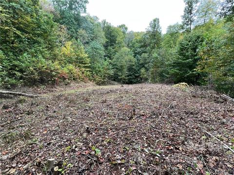 283 Rippling Brook Rd, Sylva, NC 28779 photo 5