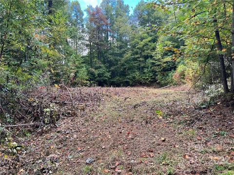 283 Rippling Brook Rd, Sylva, NC 28779 photo 2