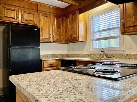 19619 Shevington Dr, Cornelius, NC 28031 photo 9