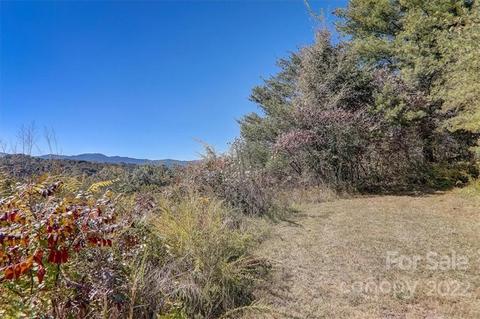 476 River Run Rd, Marshall, NC 28753 photo 41