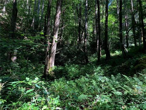 000 Grassy Gap Rd, Green Mountain, NC 28740