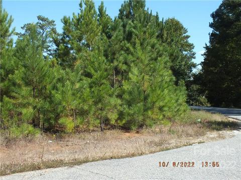 00 Reece Rd, Lancaster, SC 29720 photo 5