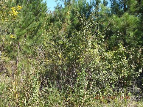 00 Reece Rd, Lancaster, SC 29720 photo 4