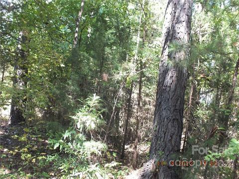 00 Reece Rd, Lancaster, SC 29720 photo 6