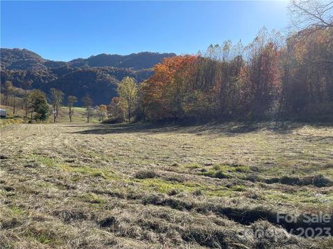 Tbd Clark Road, Clyde, NC 28721