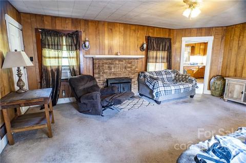 78 Evans Rd, Canton, NC 28716 photo 4