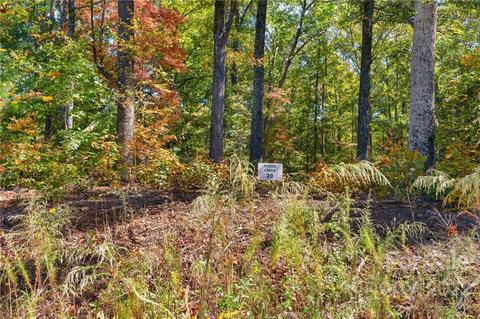 0 Walkaloosa Way #20, Mooresboro, NC 28114