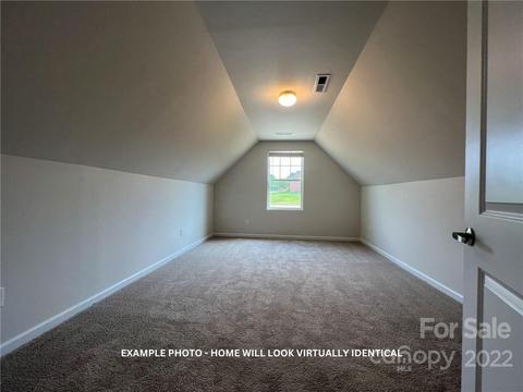 3660 Maple Brook Dr, Denver, NC 28037 photo 17