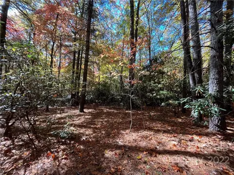 1 Hemlock Ridge Trail #1, Pisgah Forest, NC 28768