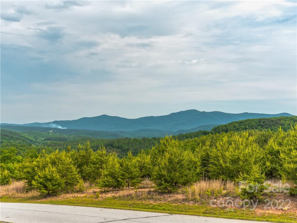 Lot 163 Deep Gap Farm W Rd  