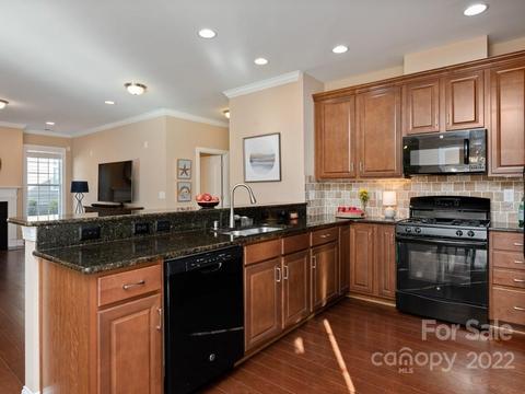 18130 Ebenezer Dr, Cornelius, NC 28031 photo 10
