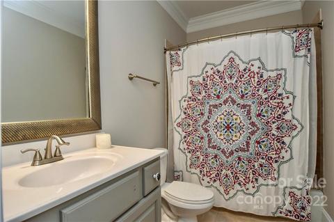 20409 Rutledge Bluff Way, Cornelius, NC 28031 photo 33