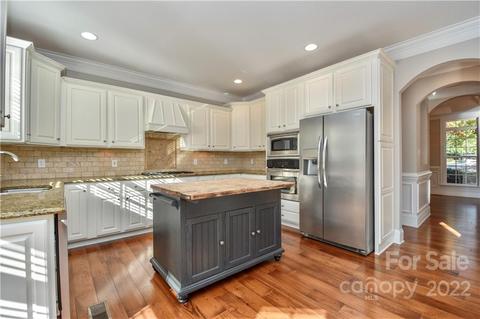 20409 Rutledge Bluff Way, Cornelius, NC 28031 photo 12