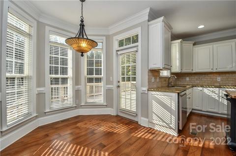 20409 Rutledge Bluff Way, Cornelius, NC 28031 photo 16