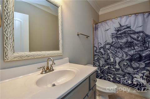 20409 Rutledge Bluff Way, Cornelius, NC 28031 photo 34