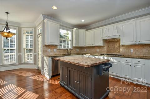 20409 Rutledge Bluff Way, Cornelius, NC 28031 photo 15
