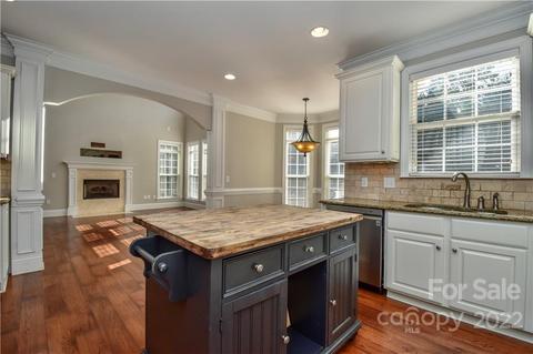 20409 Rutledge Bluff Way, Cornelius, NC 28031 photo 14
