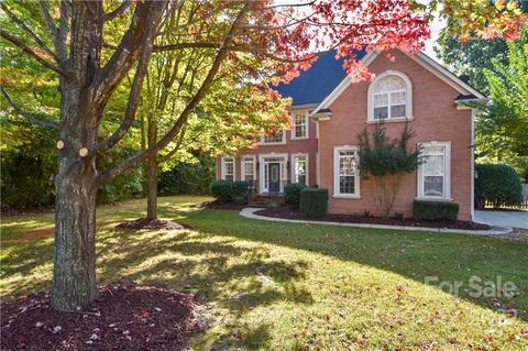 20409 Rutledge Bluff Way, Cornelius, NC 28031 photo 1