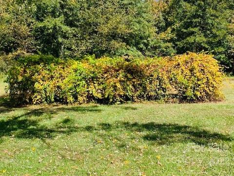 313 Hull Rd, Casar, NC 28020 photo 30