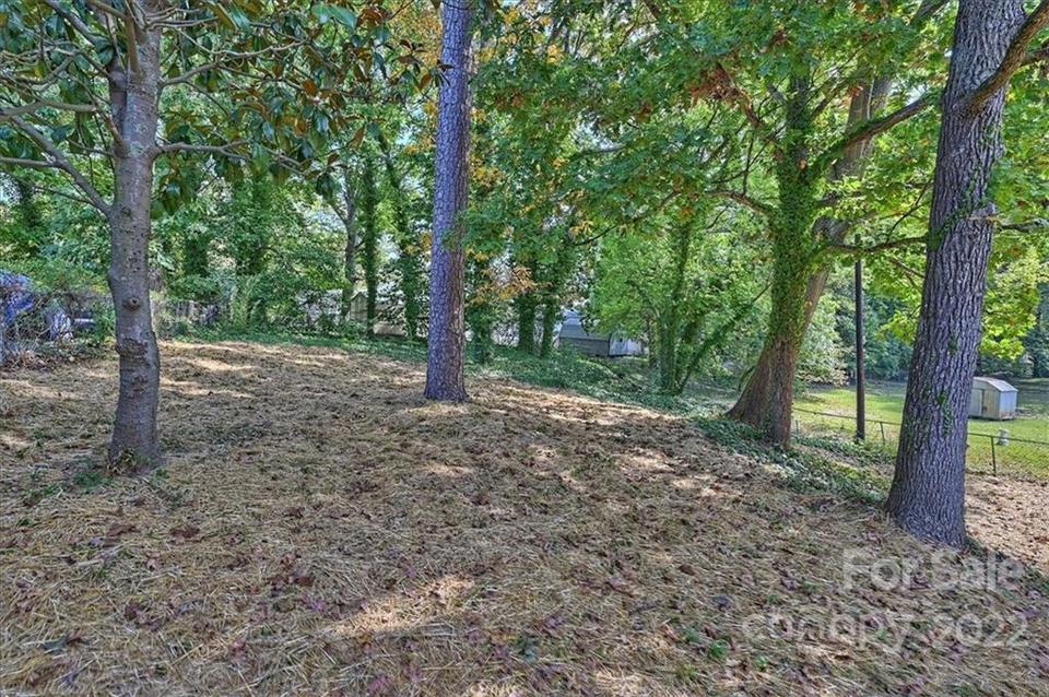  5621 Burleson Dr, Charlotte, NC 28215 photo 27