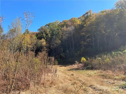 Tbd Morgan Cove Road, Candler, NC 28715