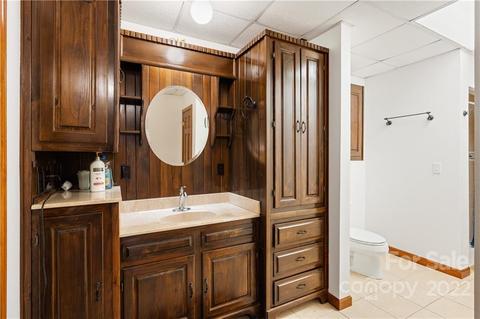 80 Lick Log Rd, Sylva, NC 28779 photo 18