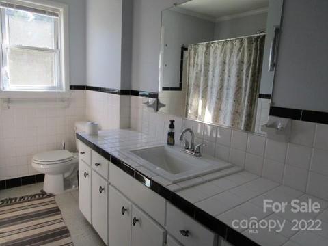 251 Pear Tree Rd, Troutman, NC 28166 photo 12