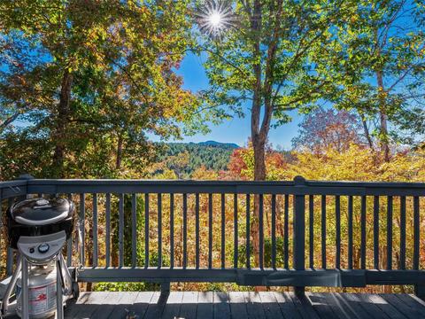 419 Whipporwill Ln, Mill Spring, NC 28756 photo 7