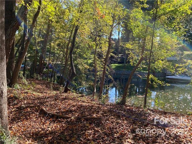 Wildlife 1 Ln Unit 1