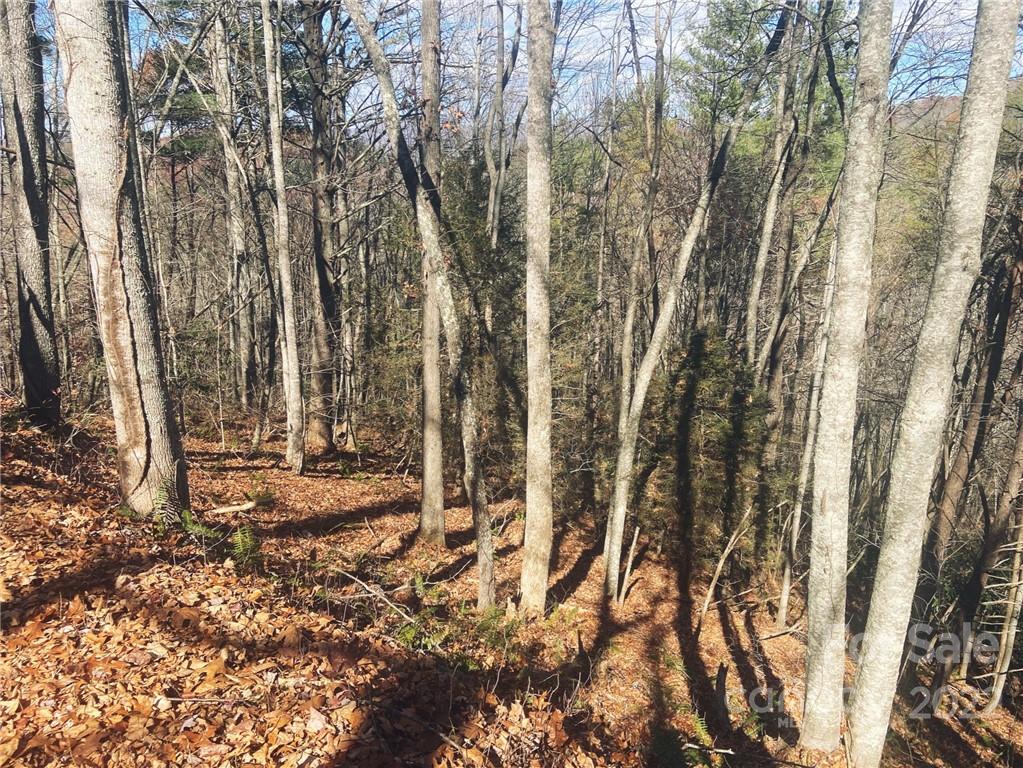 19 Rules Run Rd Unit 19C  