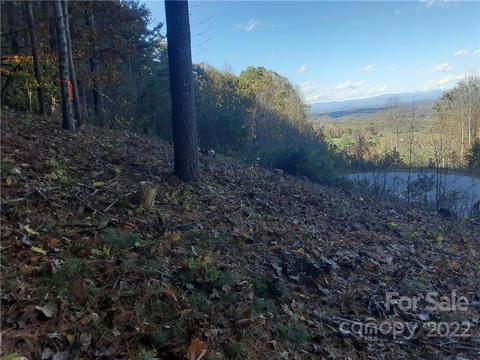 36 Carolina Buckthorn Dr #33, Leicester, NC 28748