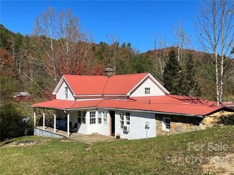 10617 Nc 209 Hwy, Hot Springs, NC 28743