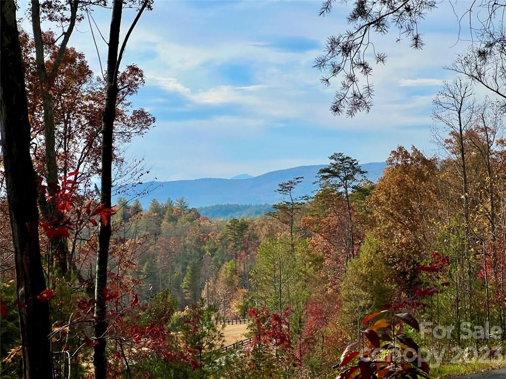 2 98 Acres River Club Lot 1015 Rdg Unit Lot 1015  